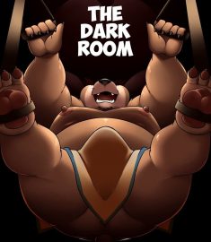 Darknessminotaur – The Dark Room