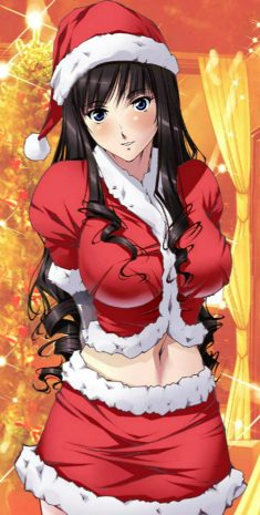 Christmas Image Set